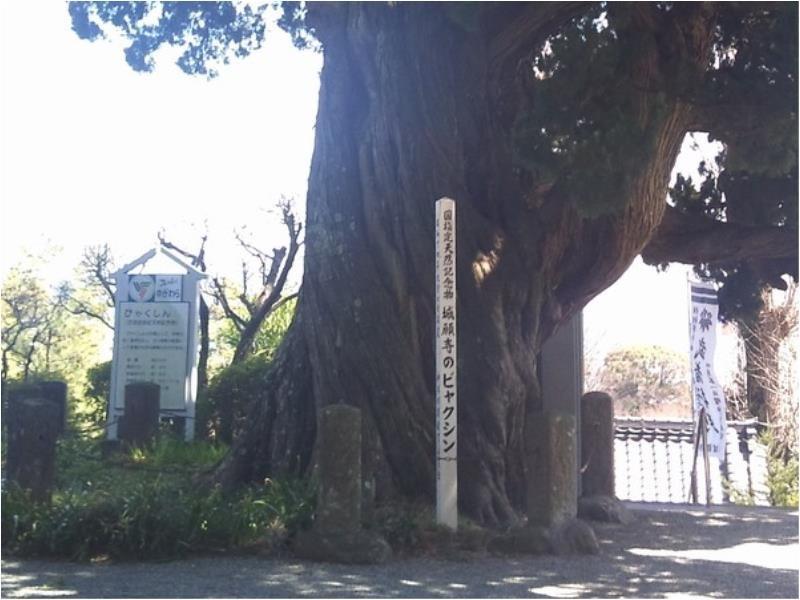 汤河原水之香里酒店 汤河原町 外观 照片
